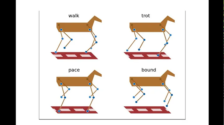 Animal gait: a central pattern generator model