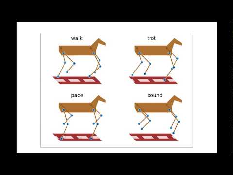Animal gait: a central pattern generator model