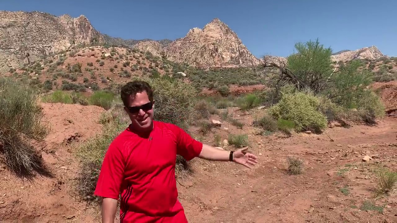 Nationwide Credit Clearing Credit Repair Chicago