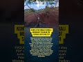 KONFLIK MYANMAR KEMBALI MEMANAS! PASUKAN PDF SERANG JUNTA MILITER