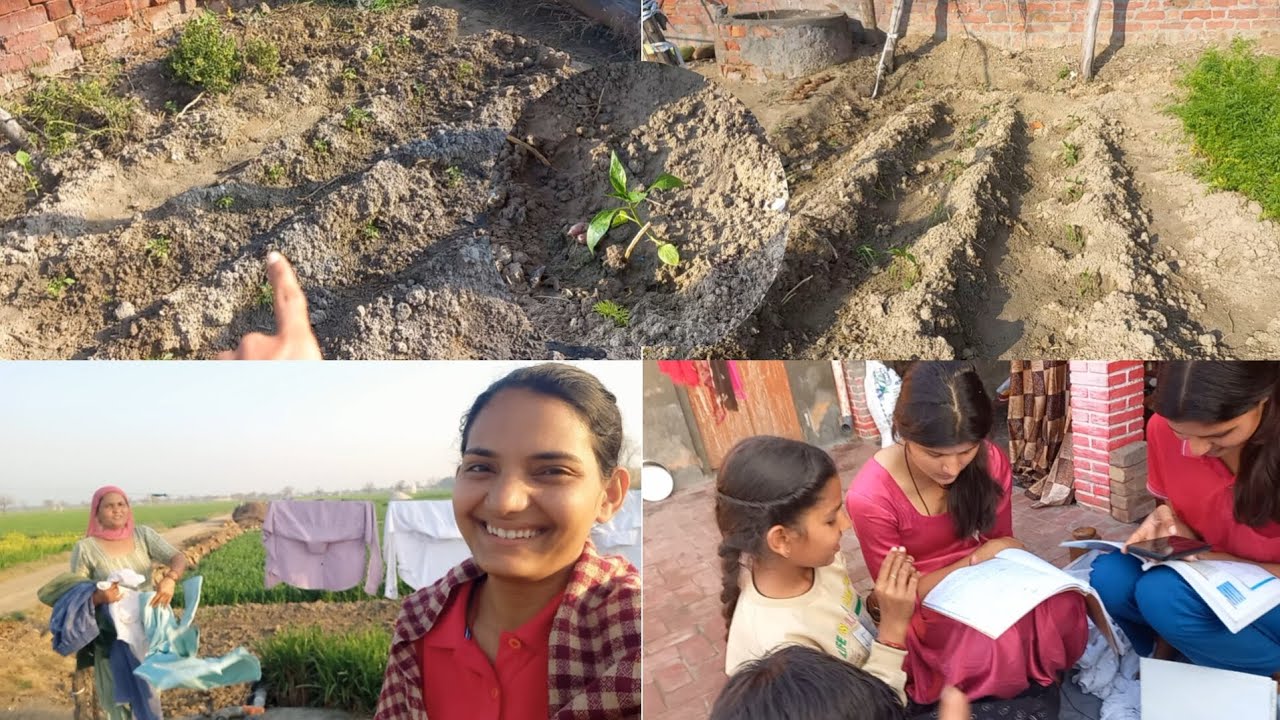 23-02-26 || सब्जी की बगीची में कौन कौन सी पौध लगा दी || BhaRti 