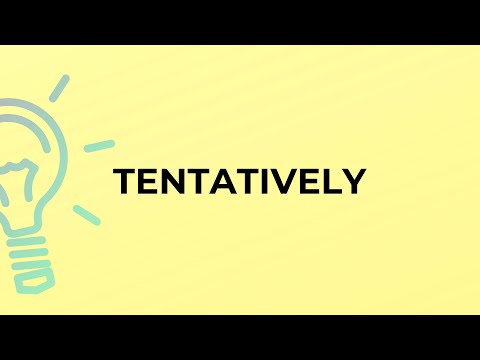 What is the meaning of the word TENTATIVELY?