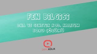 LGS Fen Bilimleri DNA ve Genetik Kod, Kalıtım Soru Çözümü