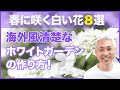 春に咲く白い花８選！海外風清楚なホワイトガーデンの作り方