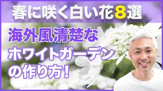 春に咲く白い花８選！海外風清楚なホワイトガーデンの作り方