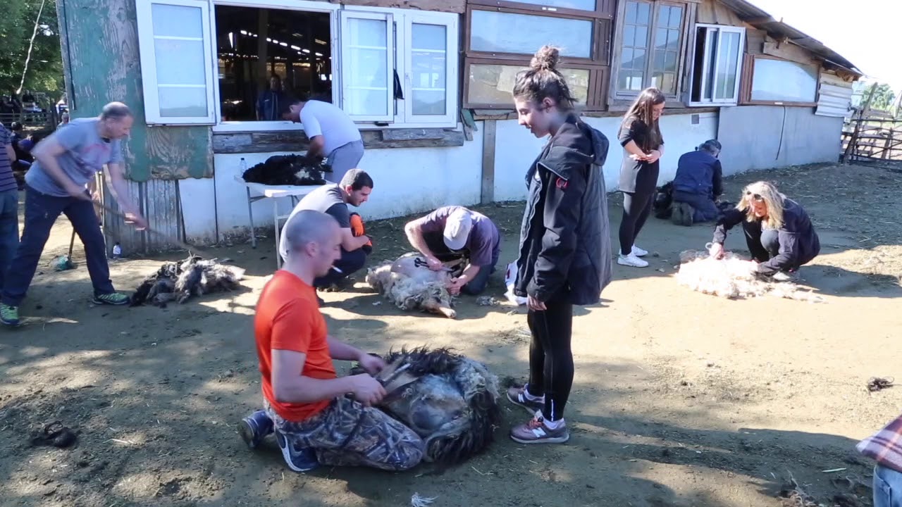 Tundera in Pianiccia ind'é a famiglia Emanuelli par Jean Charles Marsily