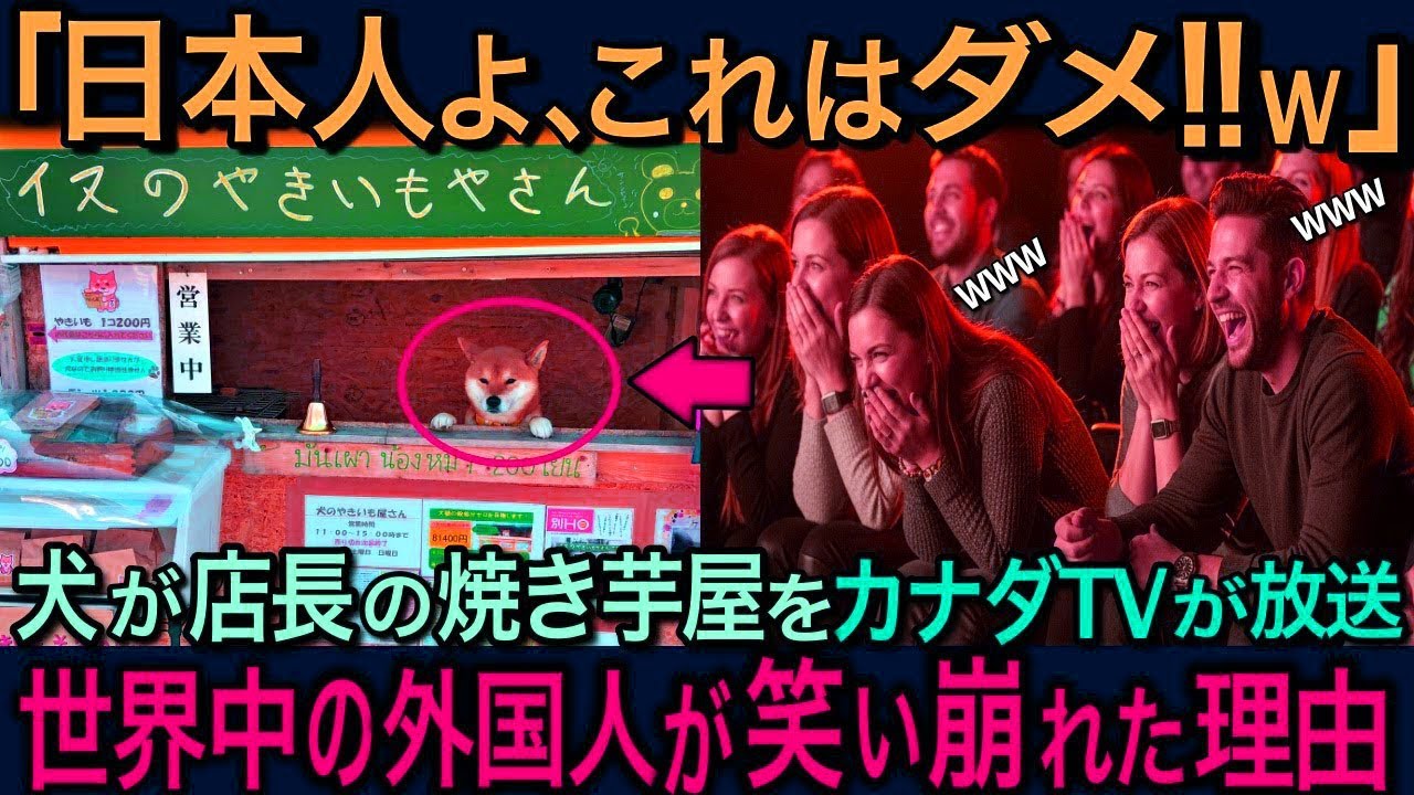 【海外の反応】「犬が店員？日本人は頭おかしいｗ」カナダTVが柴犬の焼き芋屋を特集→世界が手のひら返しした理由