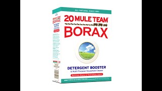 Borax Experiment for Rock Tumbling