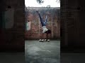 #calisthenics #handstandflow #shorts #viral #video #trending #funk