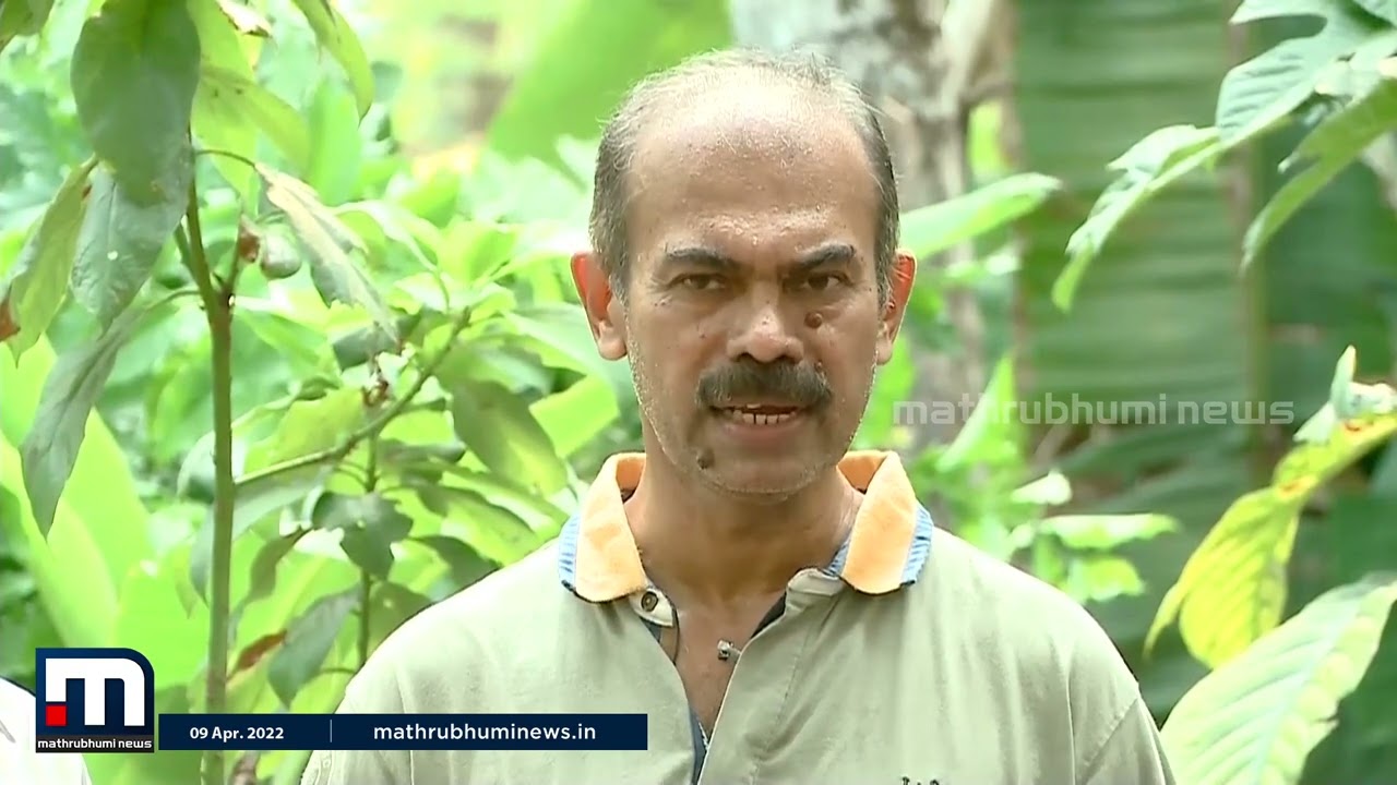 മട്ടുപ്പാവിലെ ഓര്‍ഗാനിക് കൃഷിത്തോട്ടം കാണാം | Krishibhoomi | Organic Farming | Mathrubhumi News