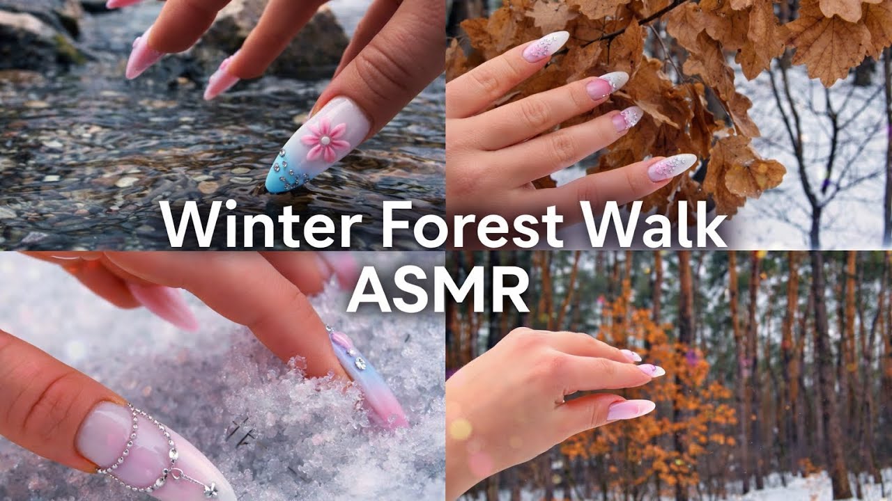 Forest Walk ASMR | Wet Snow, Rocks  & Pine Sounds 
