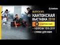 Коляски Yoya 2019, сумки для мам. Кантонская выставка. Выпуск 3