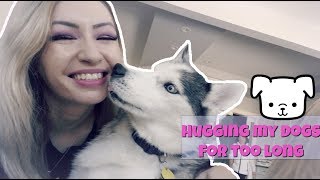 Hugging My Dogs For Too Long Funny Reaction