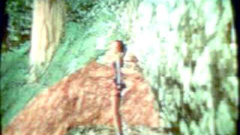 Tomb Raider 3  all weapons cheat.