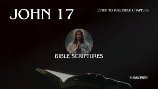 John 17 - Book of John Audio Bible from New International Version (NIV).