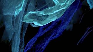 Modern Studies and Tommy Perman – Ephemeris Mist (Official Video)