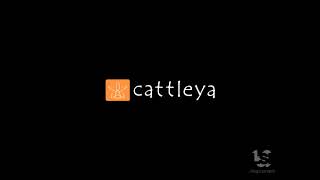Groenlandia/Cattleya/Sky Studios/ITV Studios (2020)