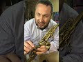 Sax Soprano Cannonball Vintage Reborn Revisão Completa