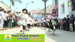 Video thumbnail of "DANZA DE CHACOS DE VICUÑA, EN ( REAL PLAZA VITARTE APROMEC )"