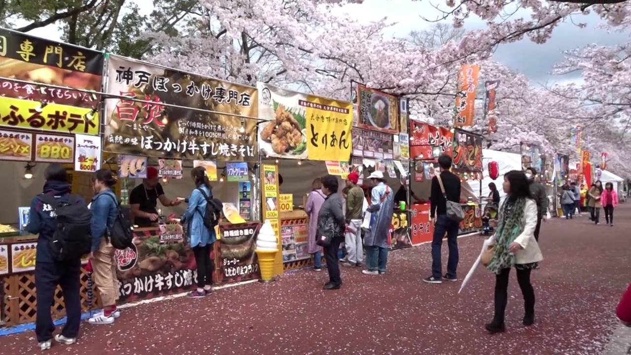 16万博記念公園櫻吹雪 1 Youtube 16万博記念公園櫻吹雪 1 Youtube