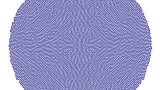 Reaction-Diffusion "coral growth"