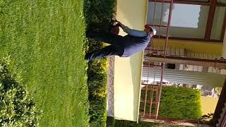 Li̇mon Selvi̇ Budama Ve Şeki̇llendi̇rme