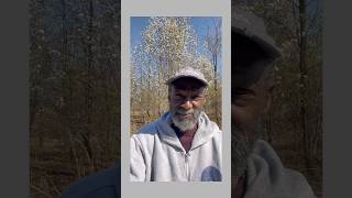 Devision, Strife, &amp; Chaos #Jesus #shorts #devision #strife #chaos ✝️💕❤️