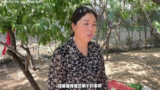 婆婆没事来找事，梦雪都不敢说婆婆一句，婆婆还嫌弃梦雪不孝顺