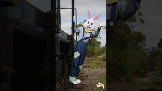 Easter Egg-Spress Trains - Mornington Tourist Railway #easter #train #heritagerail #visitvictoria