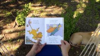 Bubby's Reading Circle - Book 52  Marvin K Mooney Go Now