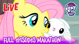 🔴 LIVE 💖🎉🦄 Year of the pony 🦄💖🎉 Fan Favorites Watch Party! 🎉 My Little Pony FIM