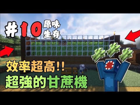 🟪【0405】2025 原味生存 10｜來吧!!!製作甘蔗機｜Minecraft｜