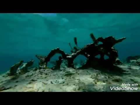 ادم الكابوس غاده عبد الرازق اغنية مسلسل الكابوس 