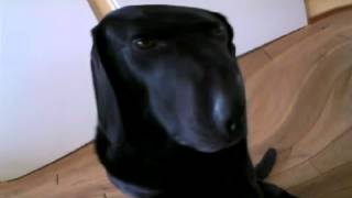 Mickey Mouse In Efecten