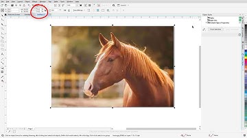 Improve the Size and Quality of your Images | CorelDRAW for Windows