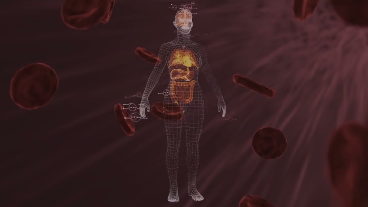 Bipole - E.M.R. (Demo Video)