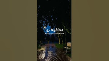 الله نور السموات والأرض مثل نوره كمشكاة/ القارئ ياسر الدوسري