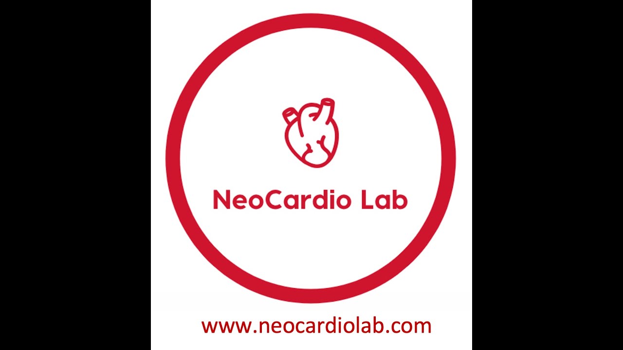 Vistas Dirigidas de Ecocardiografía Neonatal en Español por la Dra. Carolina Michel Macias