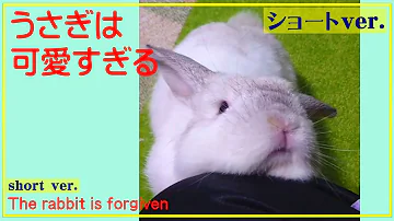 ははうさぎ ははうさぎ