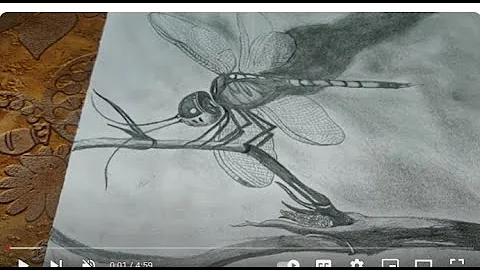 How to Draw a Dragonfly: Step by Step Drawing for Beginners
