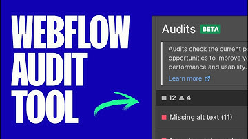 Webflow Audit Tool - What Is It & How To Get Paid For It