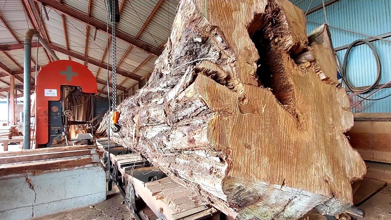 #54 [Неуклюжая работа пожилой пары] Дом редких зверей