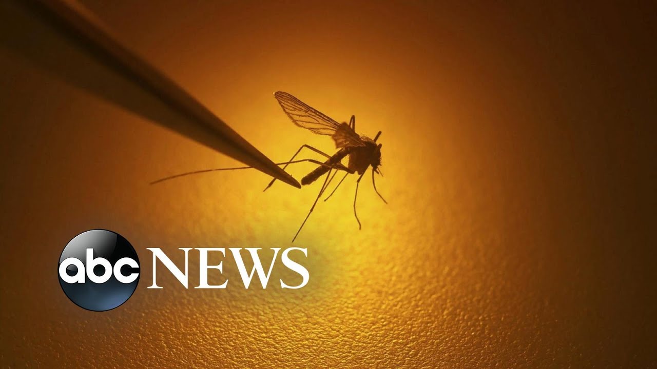 New warning about rare mosquito-borne illness that has killed 1 l ABC News