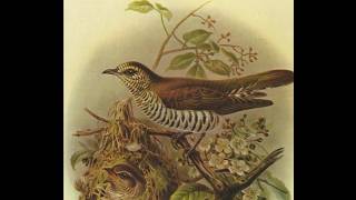 Delius 'On Hearing the First Cuckoo in Spring' - Michael Tilson Thomas / San Francisco SO