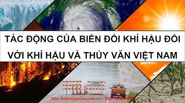 Giáo án PowerPoint Bài 9: Tác động của biến đổi khí hậu | GA điện tử | Địa lí 8 Chân trời sáng tạo