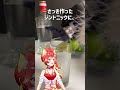ジントニックが調味料一つでもっと美味しくなる！？最強アレンジカクテルの作り方 #にゃんたじあ！ #新人vtuber #カクテル #shorts