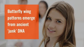 Butterfly wing patterns emerge from ancient ‘junk’ DNA