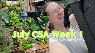 This week’s share: July CSA Week 1 