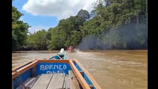 Melihat  Kampung Dayak Dalam Sungai Serawai pedalaman Kalimantan Part 2