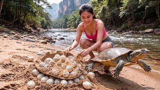 Harvesting a Giant 12KG Wild Softshell Turtle Nest to Sell at the Market | Daily Survival Life